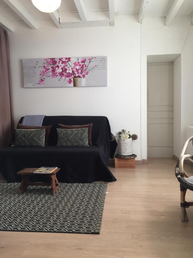 Chambre D'Hote Vue Imprenable Sur Cite - Villa Rose Carcassonne Ngoại thất bức ảnh