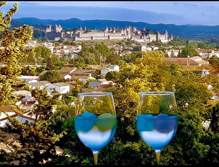 Chambre D'Hote Vue Imprenable Sur Cite - Villa Rose Carcassonne Ngoại thất bức ảnh